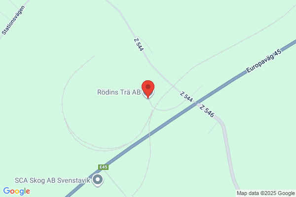 Ryd, Hans