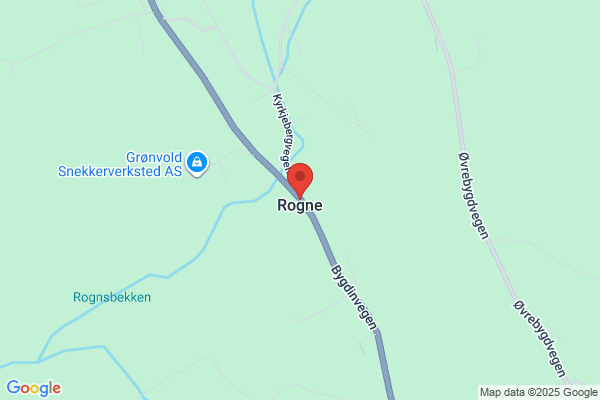 Rogne, Olof Henrik