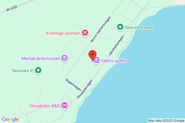 Dahlandergymnasiet (Gymnasieskolor)