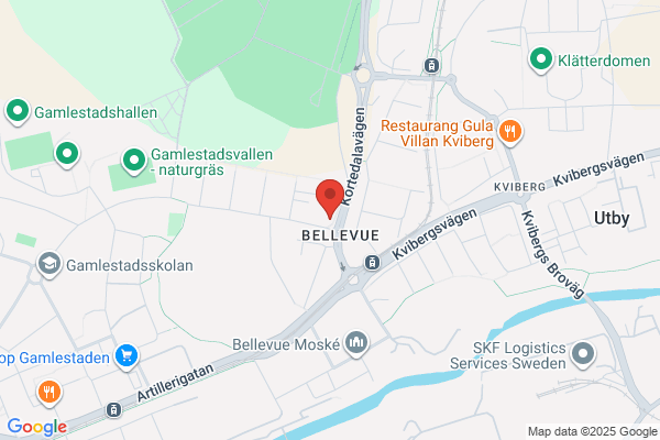 Salong Bellevue