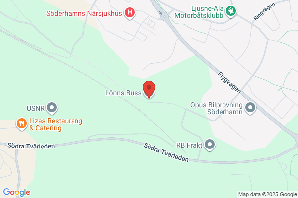 Lönns Buss AB, L G