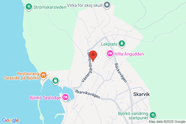 Focus fritidsverksamhet (Barn och utbildning)