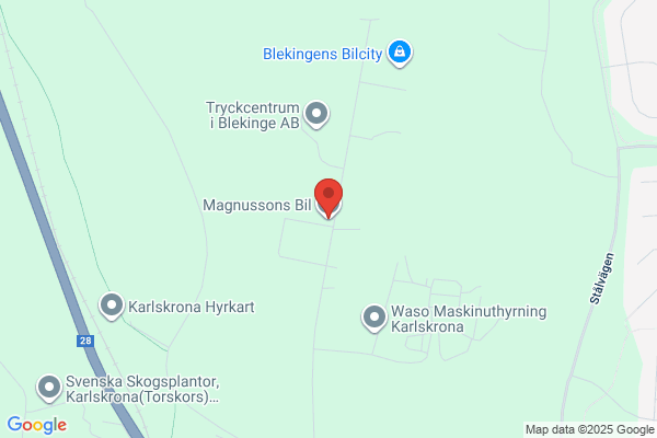 Magnusson Rolf