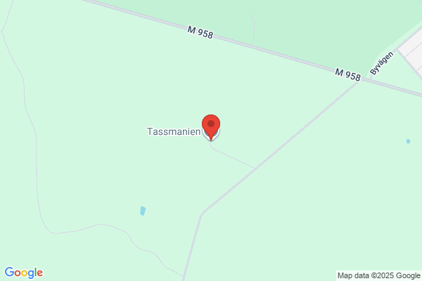 TassManien Hunddagis och Pensionat
