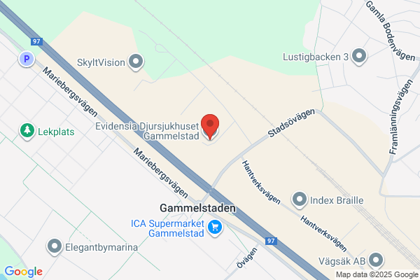 Djursjukhuset Gammelstad