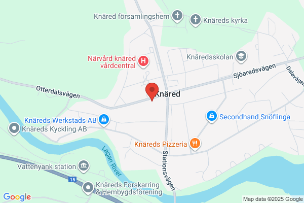 Tulipa trädgårdsmiljö