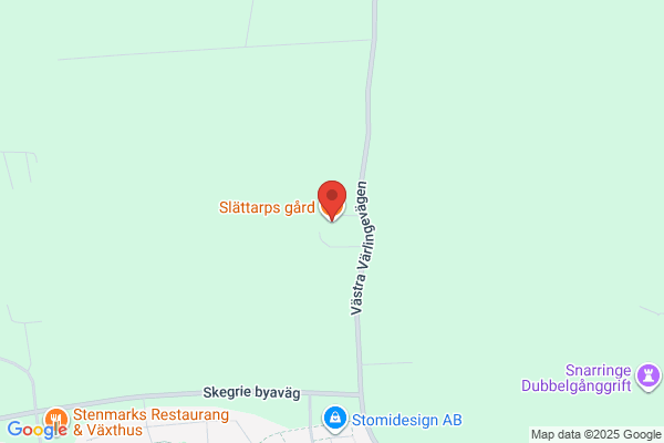 AA Fönsterputs