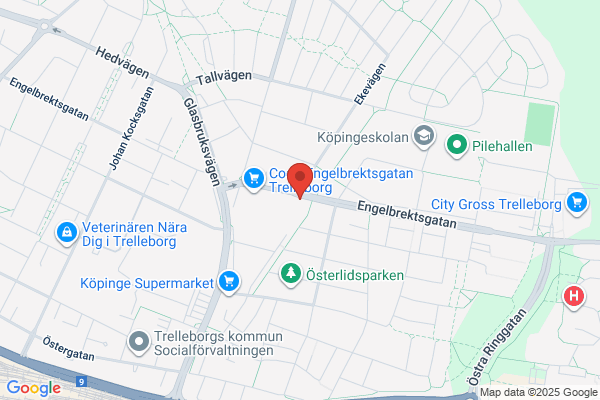 Pingstkyrkan Elim