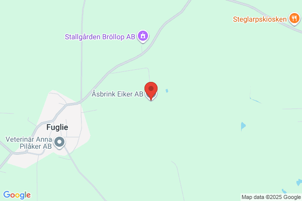 Åsbrink Eiker AB