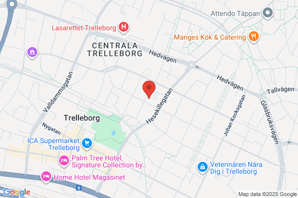 Restaurang & Pizzeria Österlids