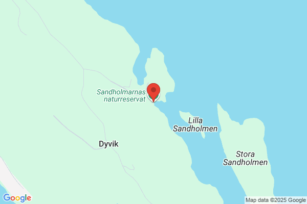 Hornblände