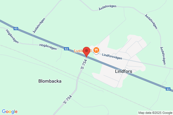 Lindfors, Staffan