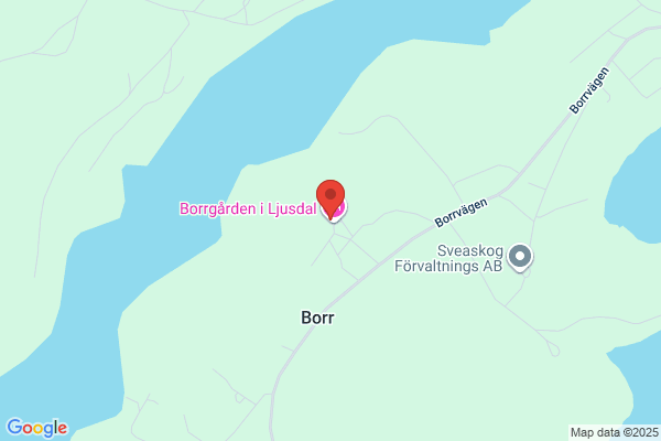 Borrgården i Ljusdal
