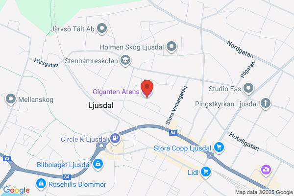 Ljusdals konstfrusna isbana (Fritid och idrott)