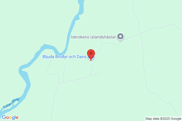 Danseriet BljuDa