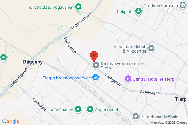 Tierps Järnbruk AB