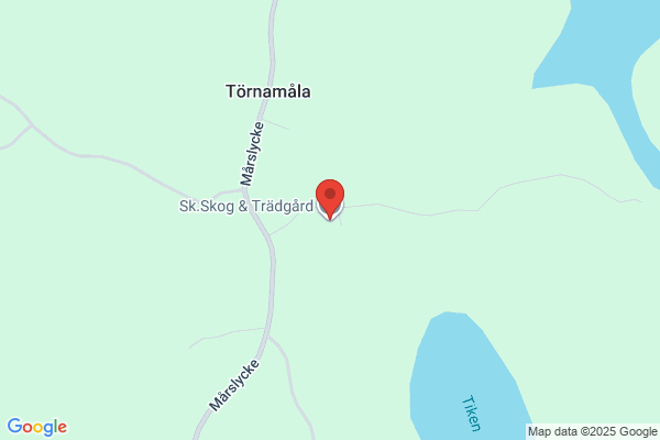 Södra Skog