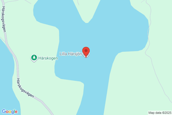 Hemlängtan Lilla Nääs