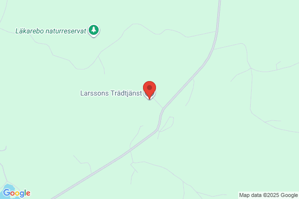 Larsson, Adam