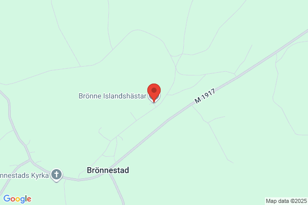 Brönne Islandshästar