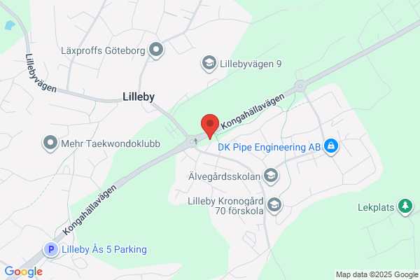 Lillebygrillen