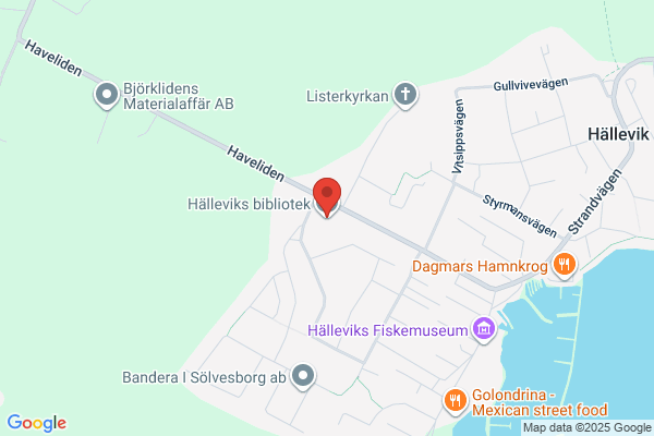 Havelidens skola