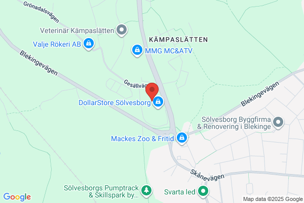 Biluthyrningen i Sölvesborg