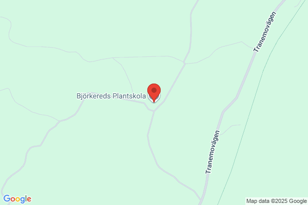 Björkereds Plantskola