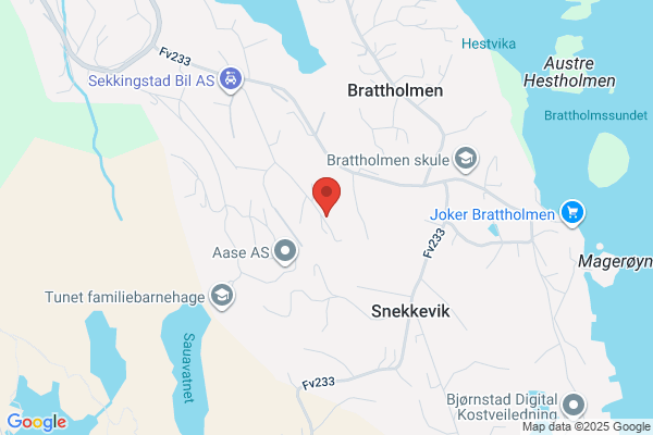 Elektrotjänst