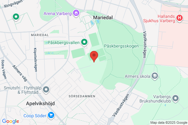 Varbergs Bois Fotboll
