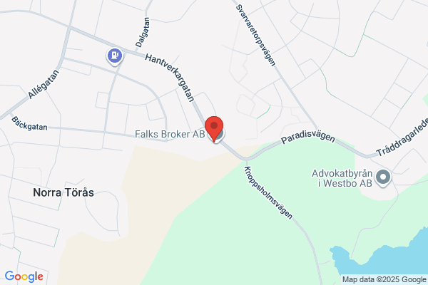 Ideus Konsult Com, AB