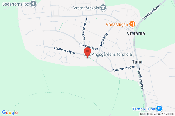Ingas Städmanslag
