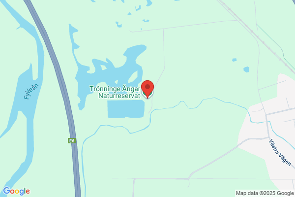 Oregårdens Gröna