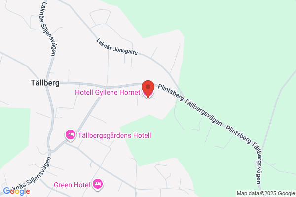 Gyllene Hornet