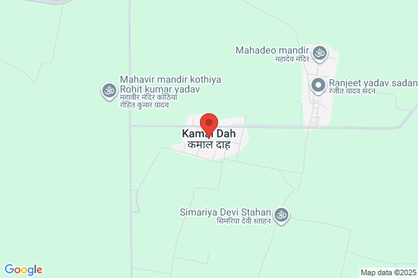 Dahy Kamal