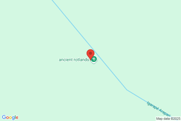 Amazon Forest
