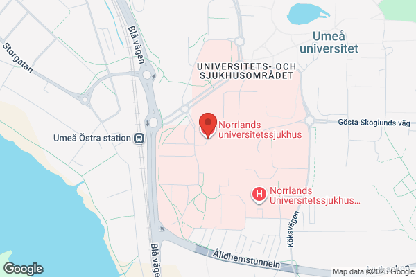 Norrlandsägg Ek. för