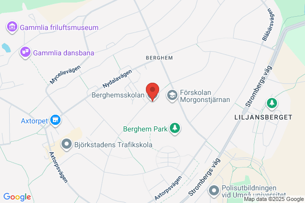 Berghemsskolan