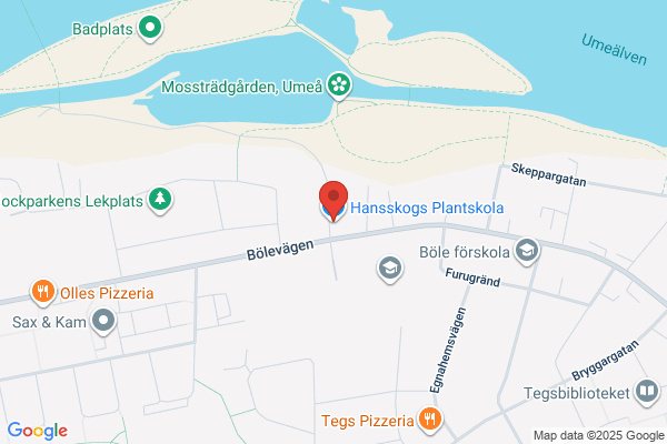 Hansskogs Plantskola