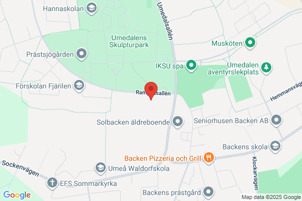 Swedish Relief Network