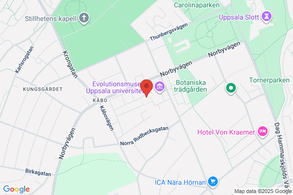 Bröderna Hassan Restaurang