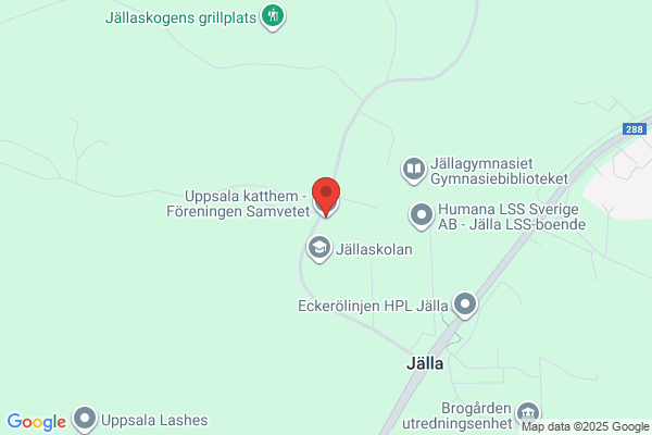 Katthuset AB