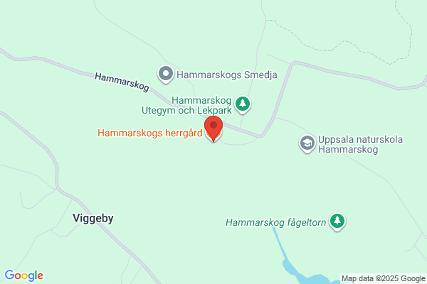 Hammar, Erik