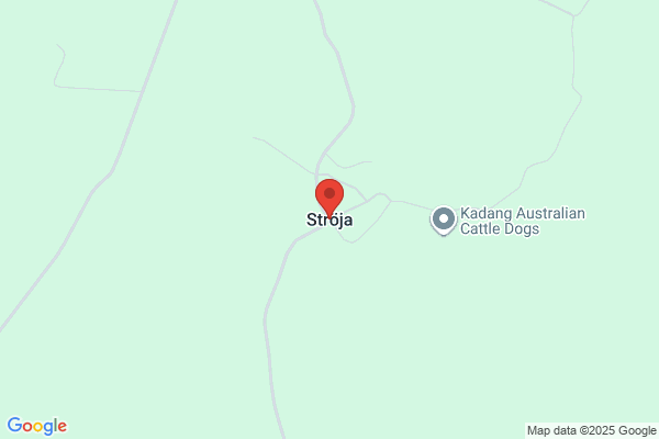 Ströja