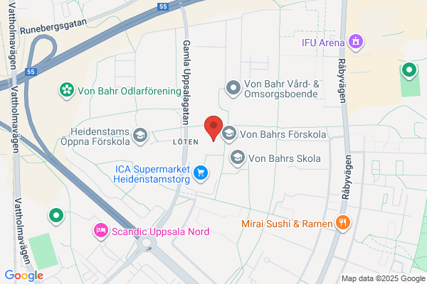 E F S, Evangeliska Fosterlands-Stiftelsen