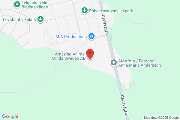 Amazing Animal Minds