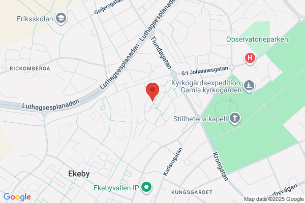 Flöjten Livs och Pizza