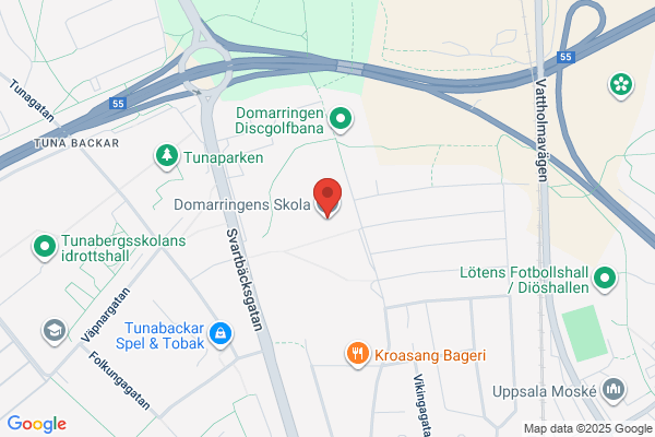 Domarringens skola (Grundskolor)