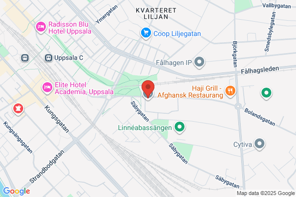 Internationella Gymnasiet (Gymnasieskolor)