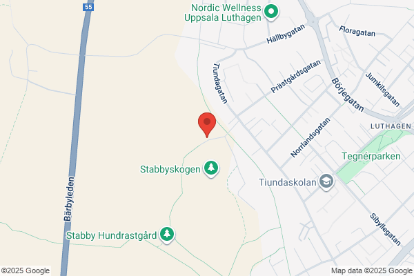 Björkskolan skoldaghem (Barn och utbildning)